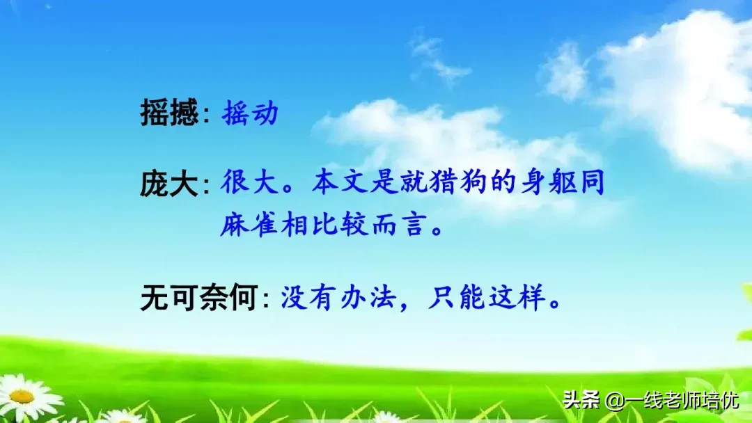 庞,怎么组词 庞的组词是什么呢?