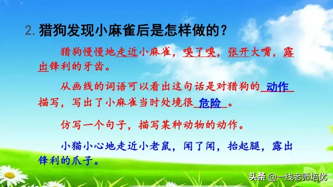 庞,怎么组词 庞的组词是什么呢?