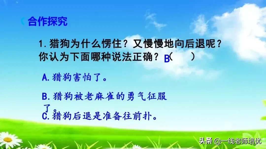 庞,怎么组词 庞的组词是什么呢?