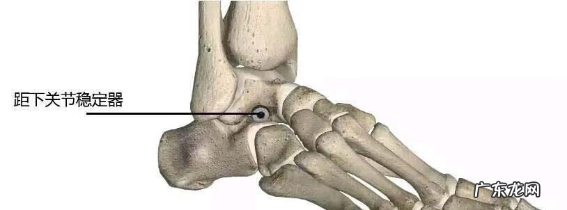 扁平足是什么病 平足症是什么