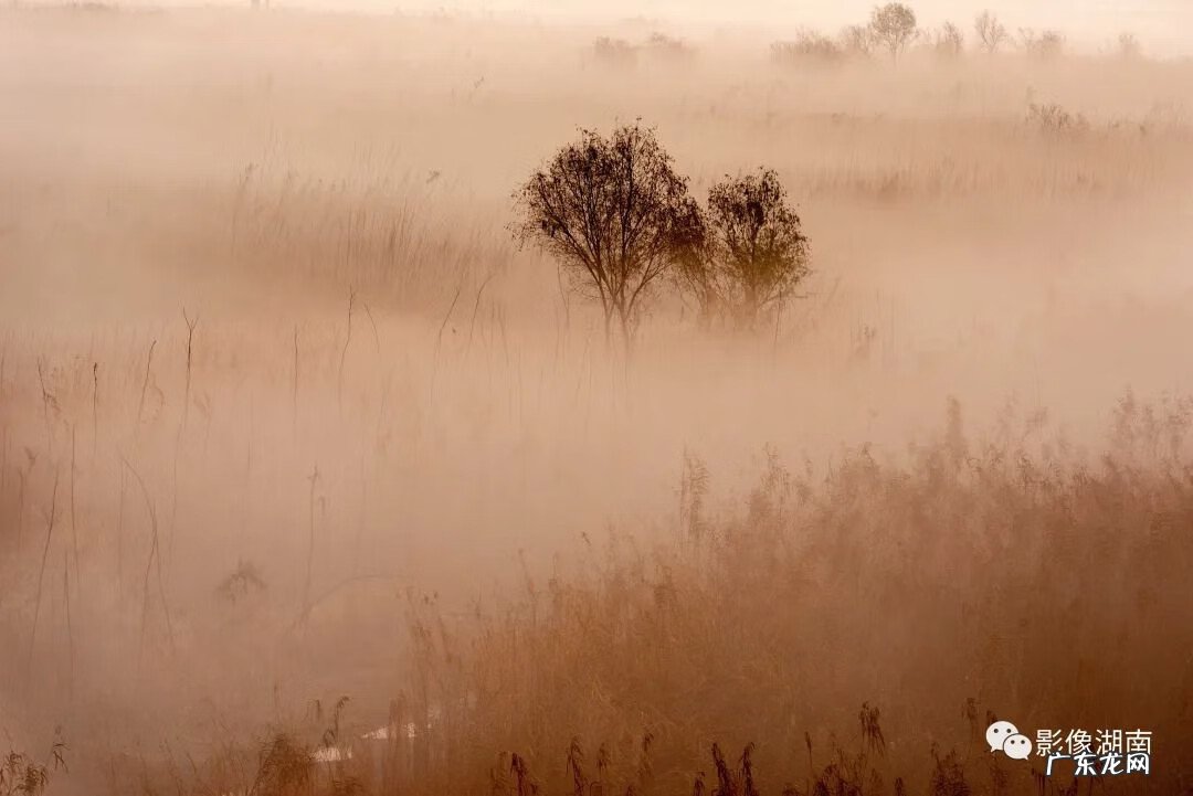 西湖山水作文 洞庭湖景观图片