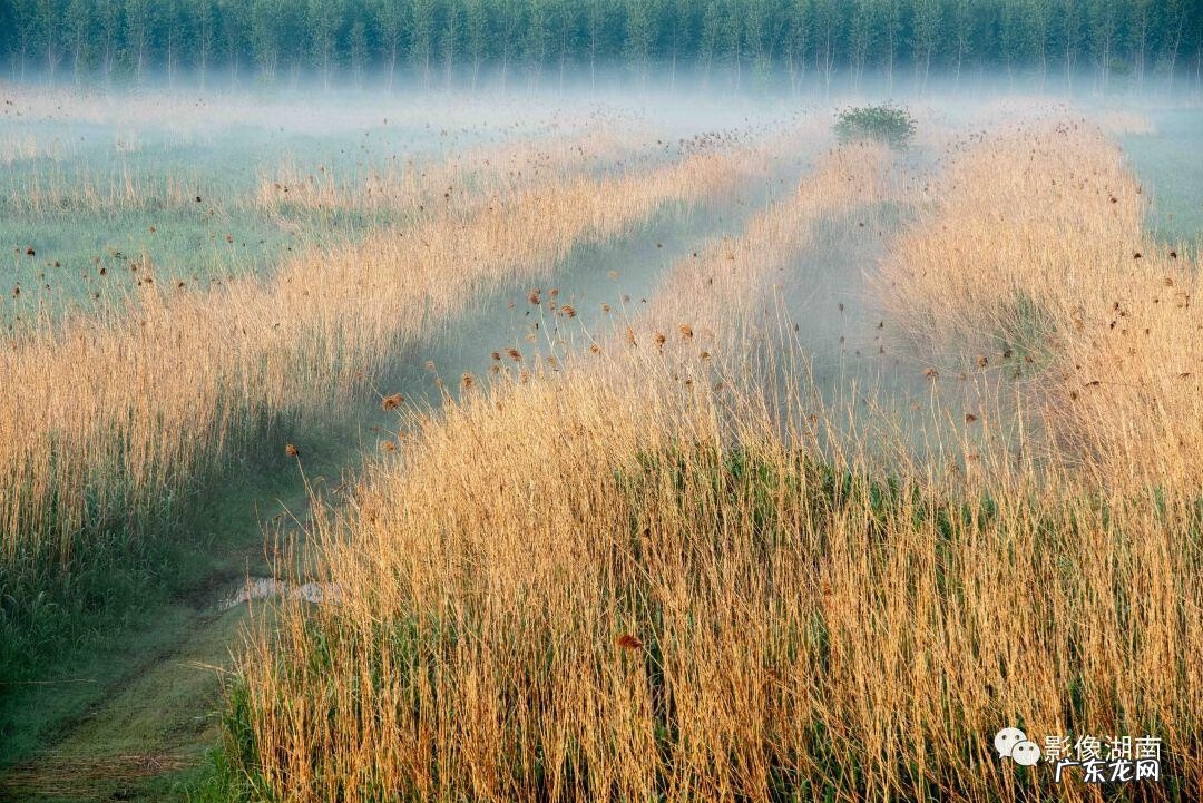 西湖山水作文 洞庭湖景观图片