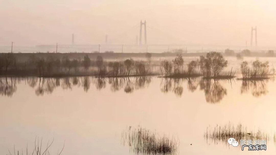 西湖山水作文 洞庭湖景观图片