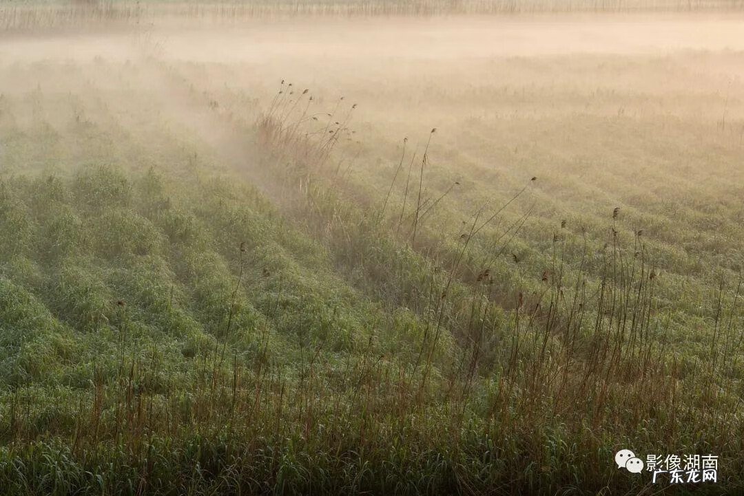 西湖山水作文 洞庭湖景观图片
