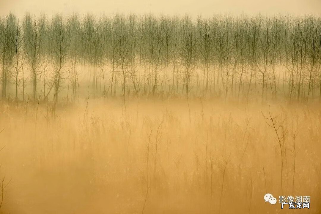 西湖山水作文 洞庭湖景观图片