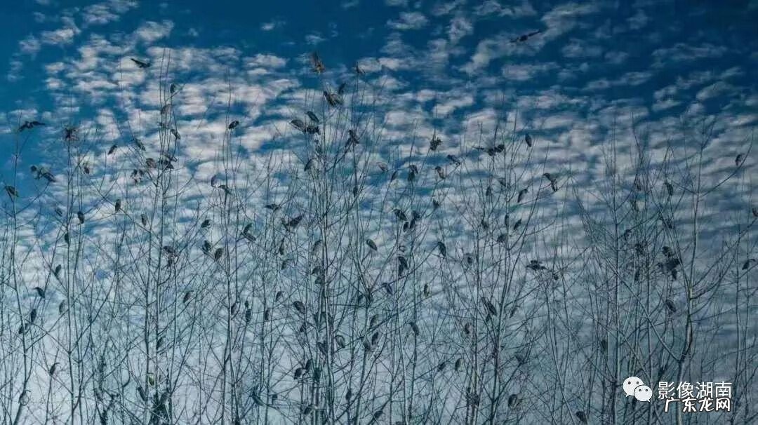 西湖山水作文 洞庭湖景观图片