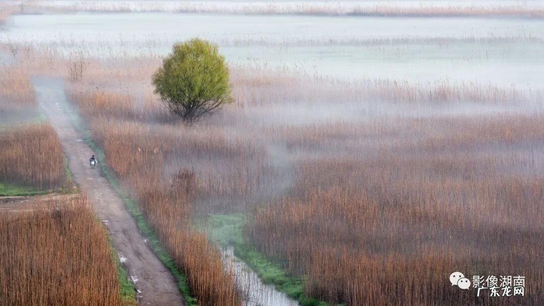 西湖山水作文 洞庭湖景观图片