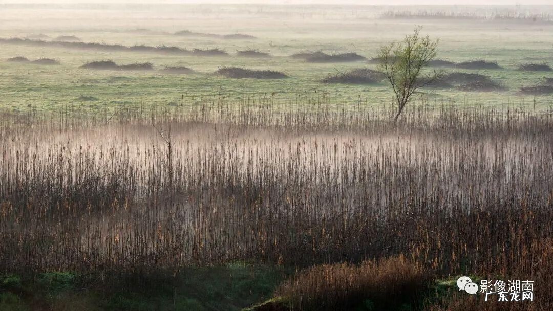 西湖山水作文 洞庭湖景观图片