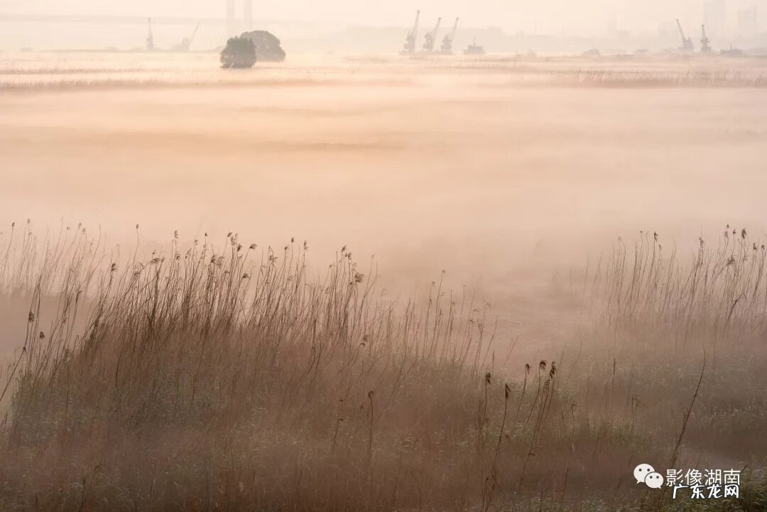 西湖山水作文 洞庭湖景观图片