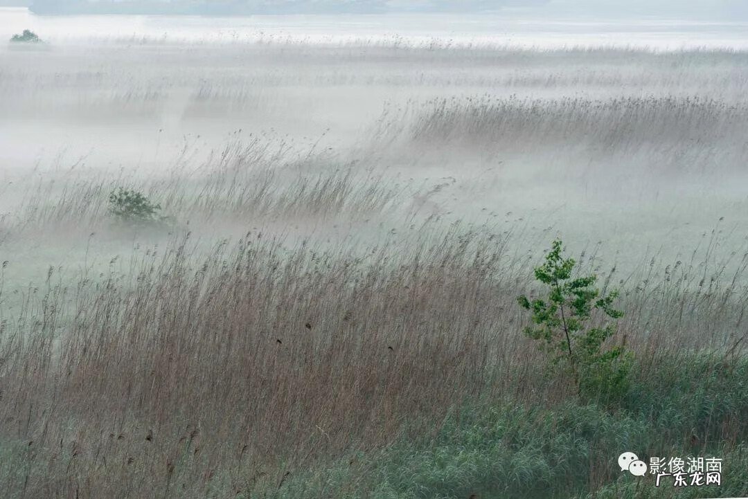 西湖山水作文 洞庭湖景观图片