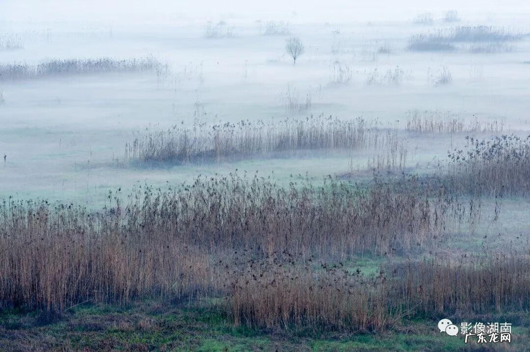 西湖山水作文 洞庭湖景观图片