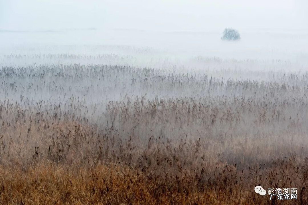 西湖山水作文 洞庭湖景观图片