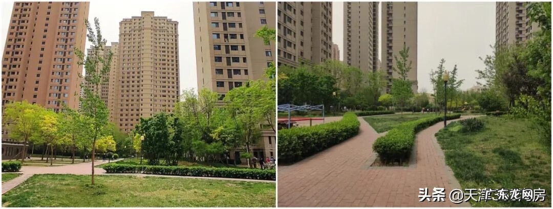 天津金岭花园房价 天津金领公寓风水