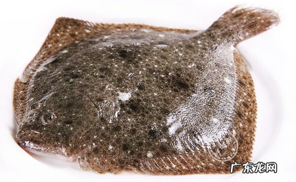 如何宰杀多宝鱼 如何杀多宝鱼