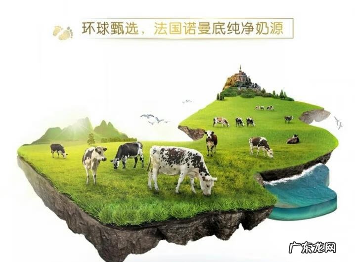 最好的进口奶粉是什么牌子的 进口奶粉什么牌子好?