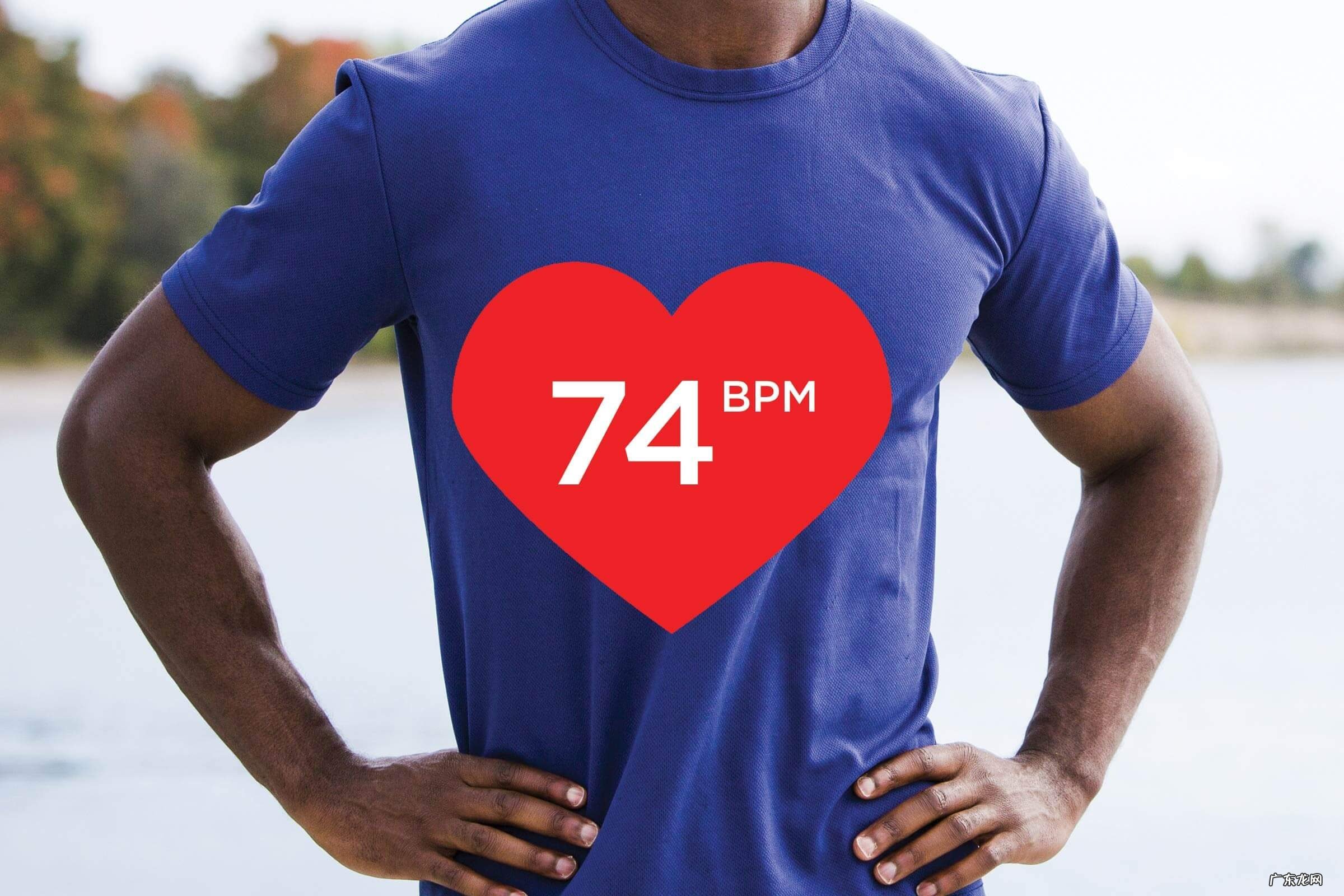 心率多少为最佳状态 心率多少正常范围