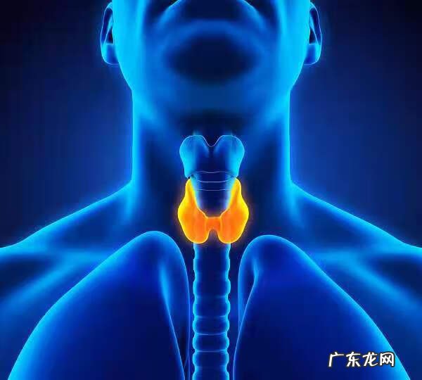 心率多少为最佳状态 心率多少正常范围