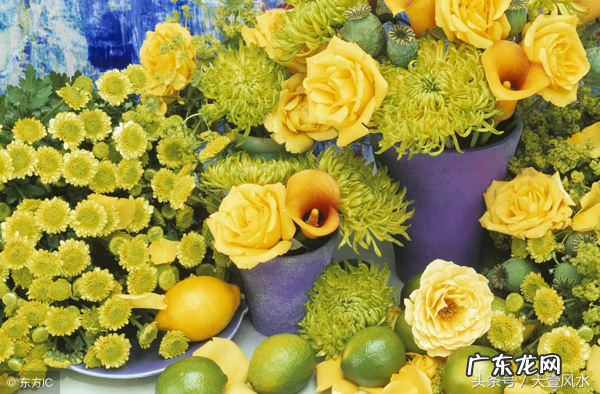 二十八星宿择日可靠吗 二十八星宿择日吉凶法