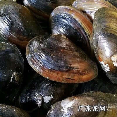 河蚌怎样做汤好吃 河蚌汤的做法,怎么做河蚌汤