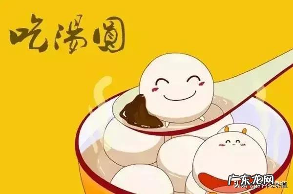 元宵是不是就是汤圆 元宵与汤圆的区别?