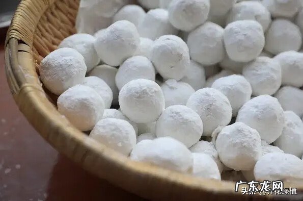 元宵是不是就是汤圆 元宵与汤圆的区别?