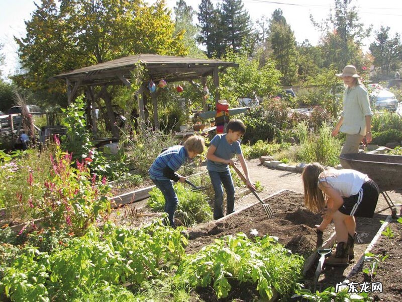广州最大的华德福学校 北京华德福学校有几个
