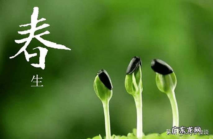 春天多吃什么好 春天吃什么好吃