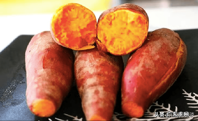 春天多吃什么好 春天吃什么好吃