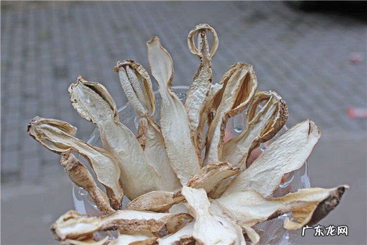 鸡腿蘑菇 鸡腿菇图片