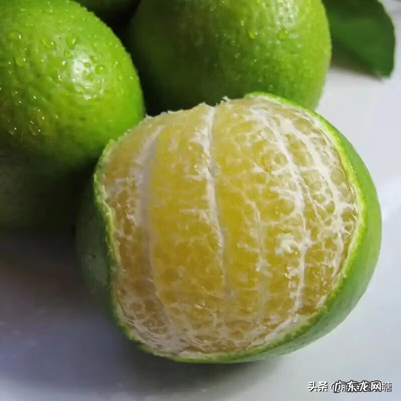 皇帝柑口感怎么样 皇帝柑风水