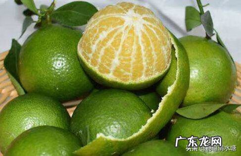皇帝柑口感怎么样 皇帝柑风水
