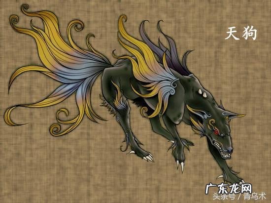 民间所说的替身是什么意思 风水里找替身是什么意思