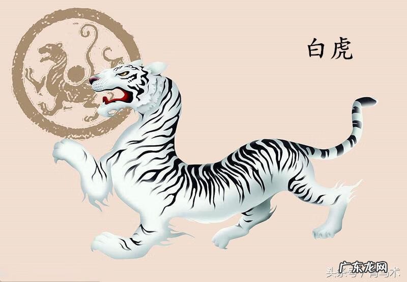 民间所说的替身是什么意思 风水里找替身是什么意思