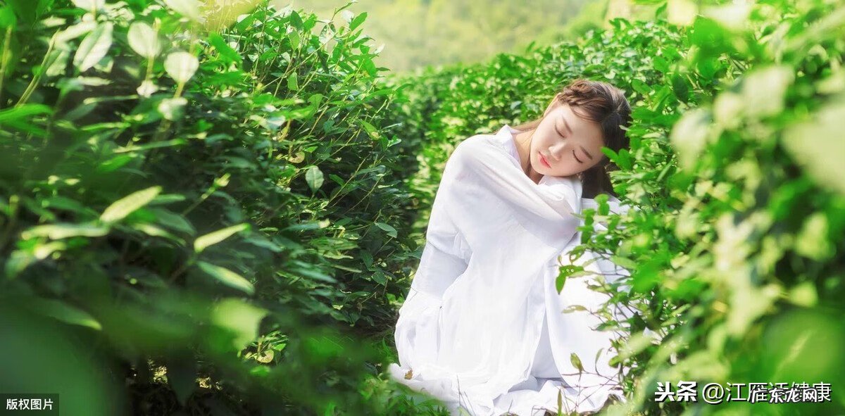 红色的洋槐花有毒吗 洋槐花有毒吗?