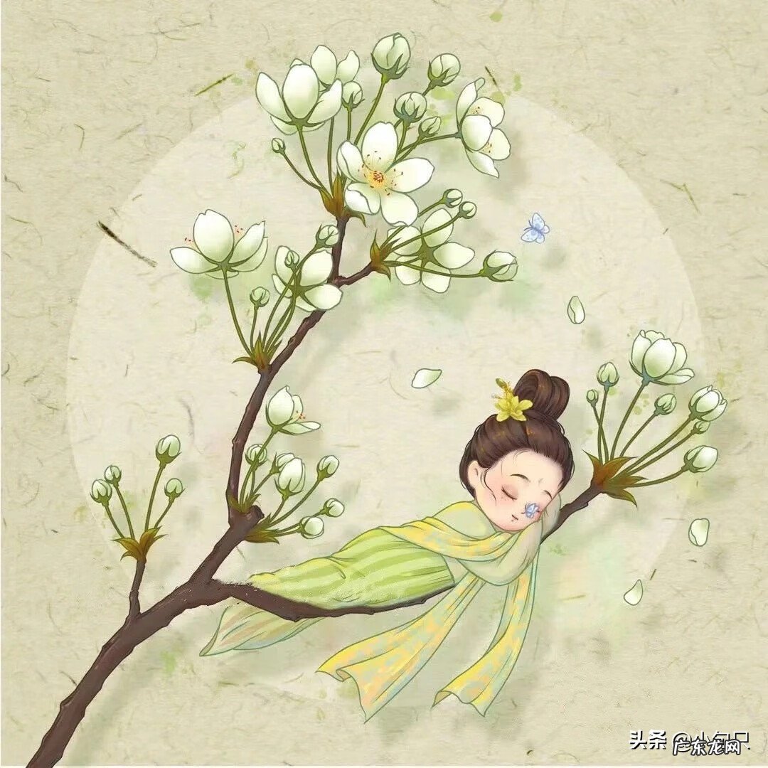 如果发风水朋友圈怎么发 亲人过事怎么发朋友圈