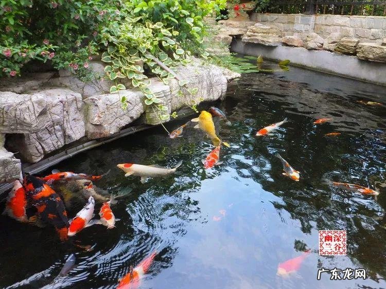 房顶水池需要注意些什么 房顶做水池风水上犯忌吗