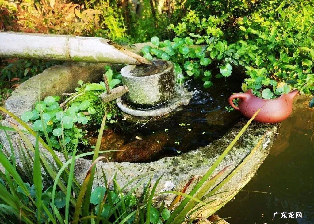 房顶水池需要注意些什么 房顶做水池风水上犯忌吗