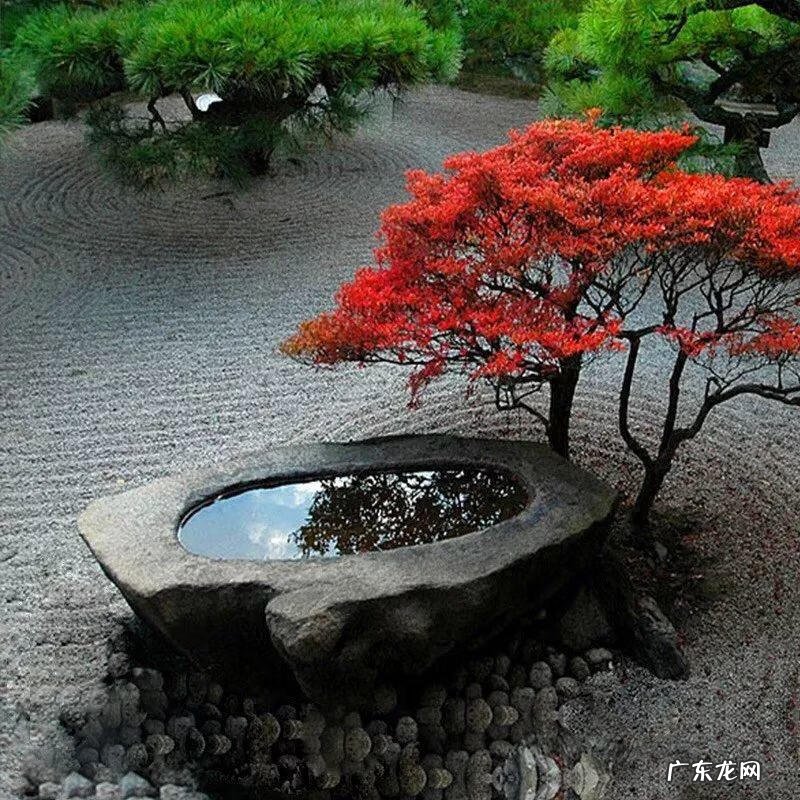 房顶水池需要注意些什么 房顶做水池风水上犯忌吗