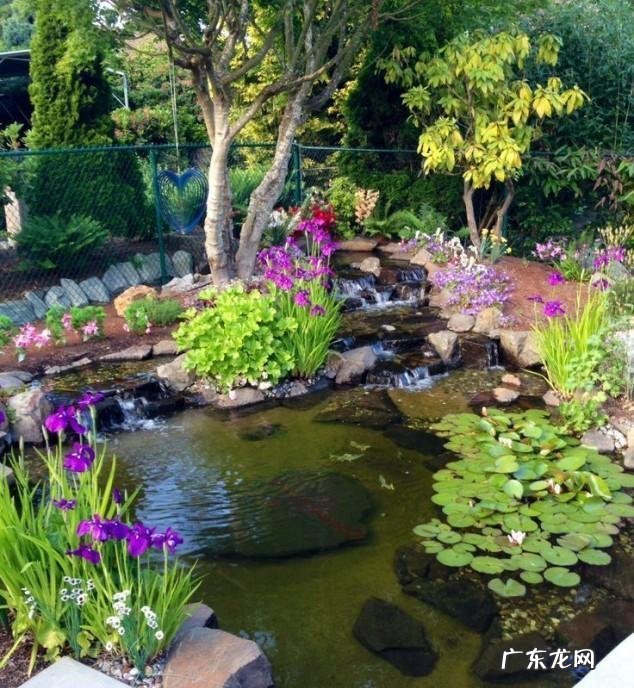 房顶水池需要注意些什么 房顶做水池风水上犯忌吗