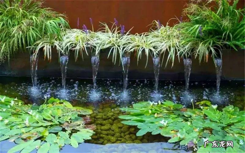 房顶水池需要注意些什么 房顶做水池风水上犯忌吗