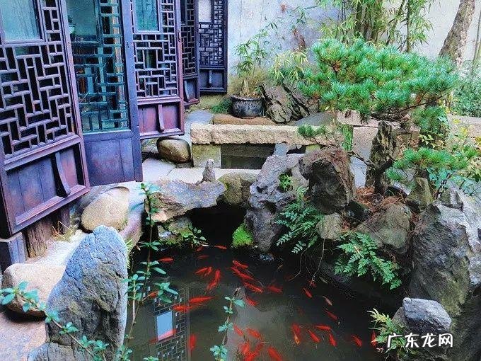 房顶水池需要注意些什么 房顶做水池风水上犯忌吗