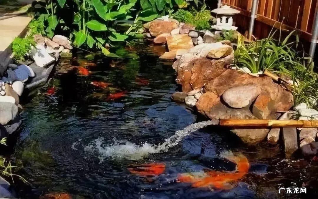 房顶水池需要注意些什么 房顶做水池风水上犯忌吗