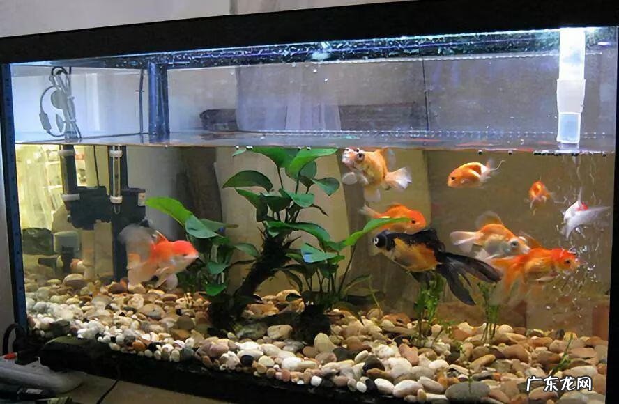 房顶水池需要注意些什么 房顶做水池风水上犯忌吗