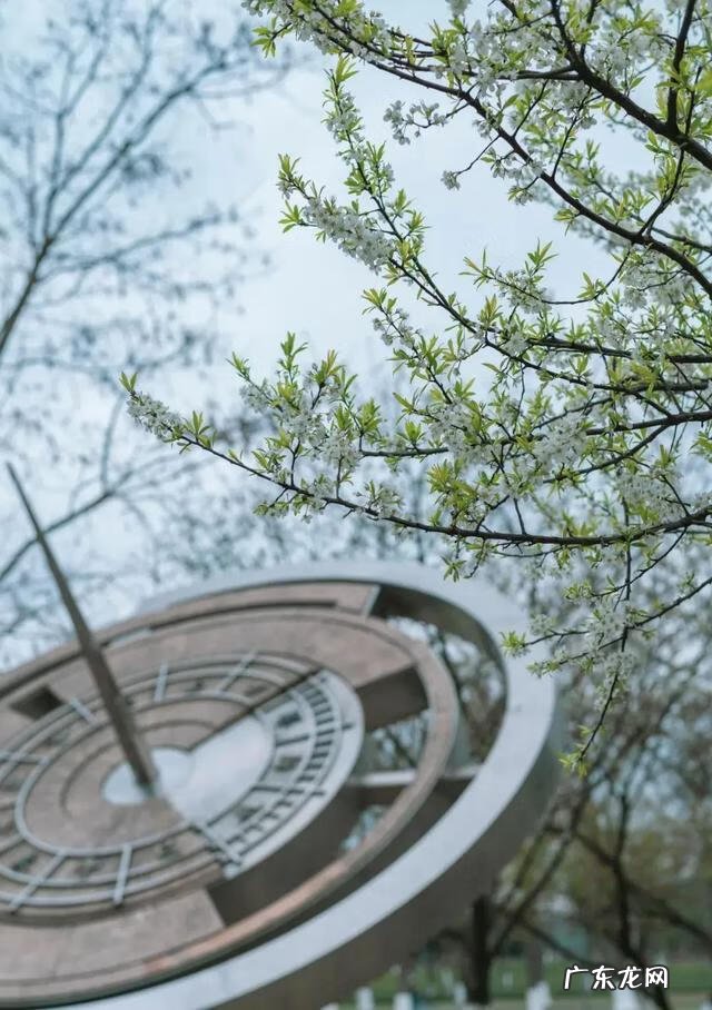 雅思阅读评分 雅思听力评分标准2022