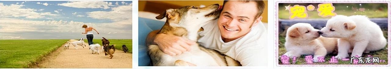 心理治疗有哪些方法 心理疾病的治疗以什么为主