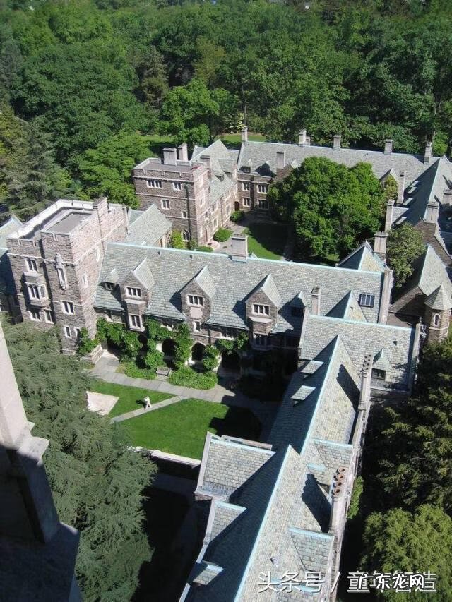 夏令营 少儿 纯英文 少儿英语夏令营行程