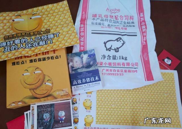 潘特拉 潘斯特兔子