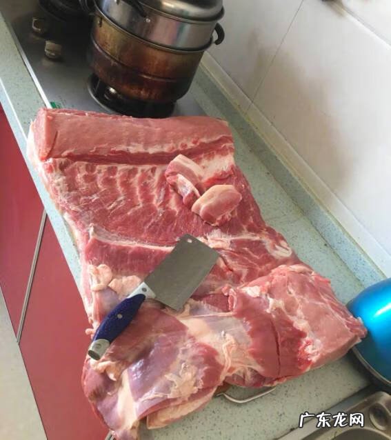 潘特拉 潘斯特兔子