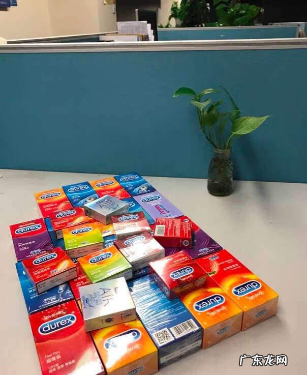 潘特拉 潘斯特兔子