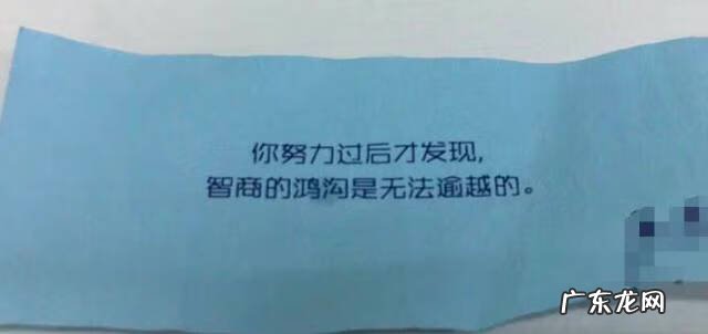 潘特拉 潘斯特兔子